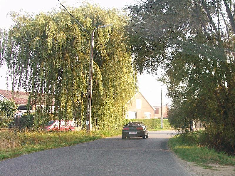 Vertrek ochtendrit van 55 km.JPG